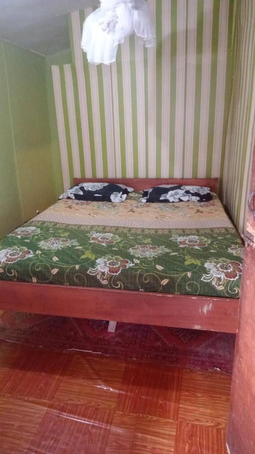 Fun Family Guest House N Jungle Tour Bukit Lawang Esterno foto
